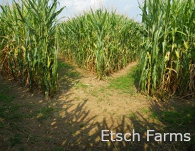 EtschFarms-2024-2